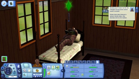 Sims 3